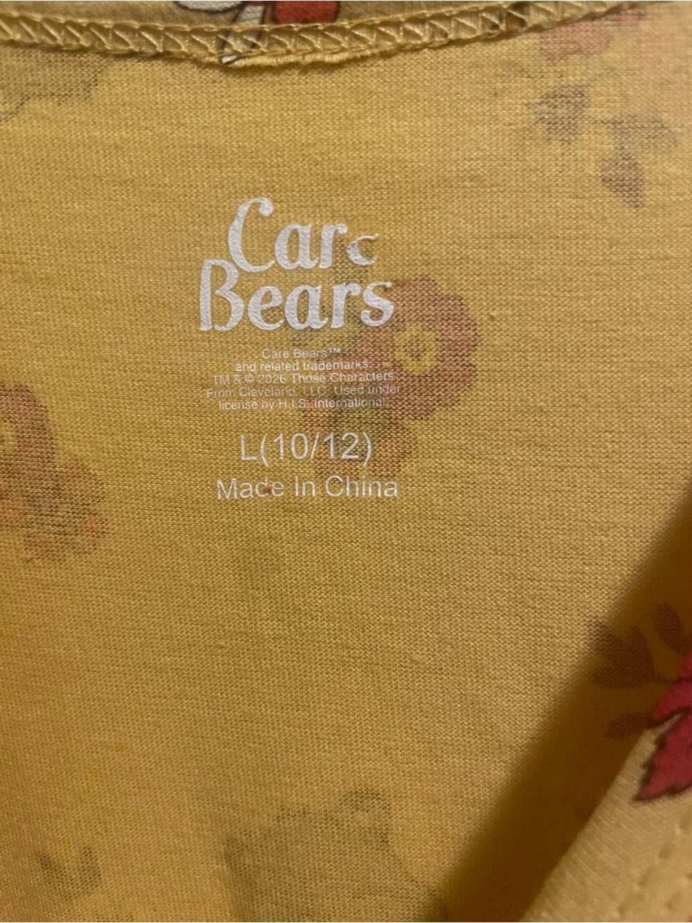 Care Bears Girls Tenderheart Floral Skater Dress L 10/12 NWT